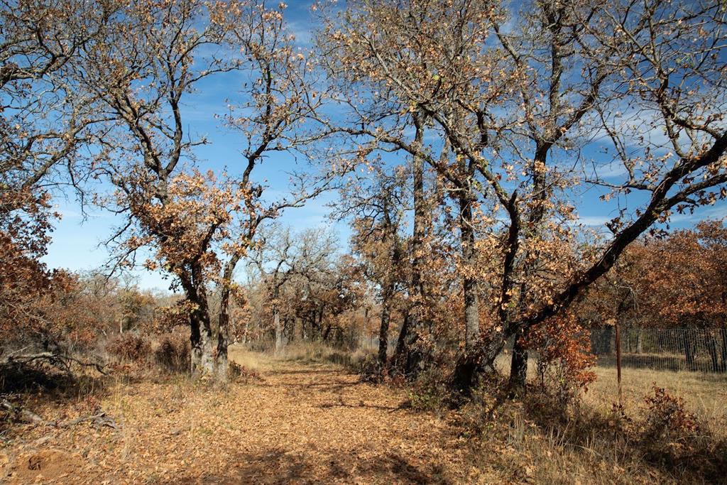 0 Marley Road Jacksboro, TX 76458 - Photo 15 of 32 Pasture road.