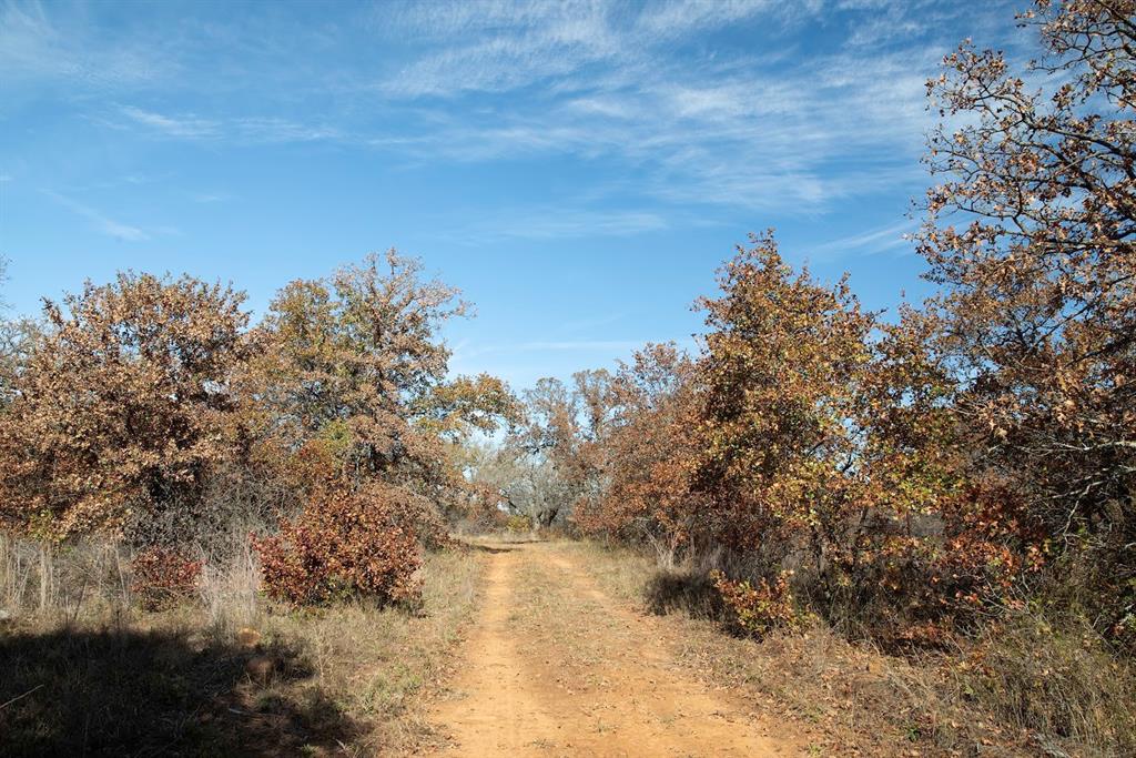 0 Marley Road Jacksboro, TX 76458 - Photo 18 of 32 View of dirt / gravel road
