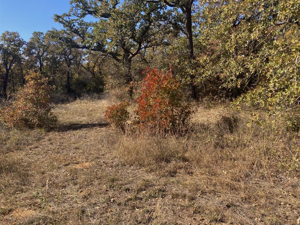 0 Marley Road Jacksboro, TX 76458 - Photo 2 of 32 Grass and brush cover with open areas.