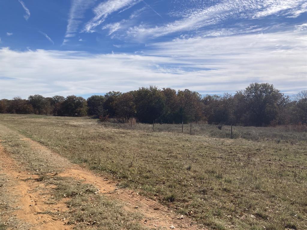 0 Marley Road Jacksboro, TX 76458 - Photo 21 of 32 Cool season grasses starting to green up.