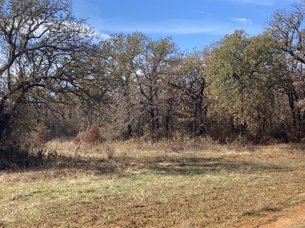 0 Marley Road Jacksboro, TX 76458 - Photo 22 of 32 Drilled food plot.