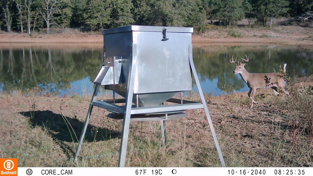 0 Marley Road Jacksboro, TX 76458 - Photo 23 of 32 Great hunting property.