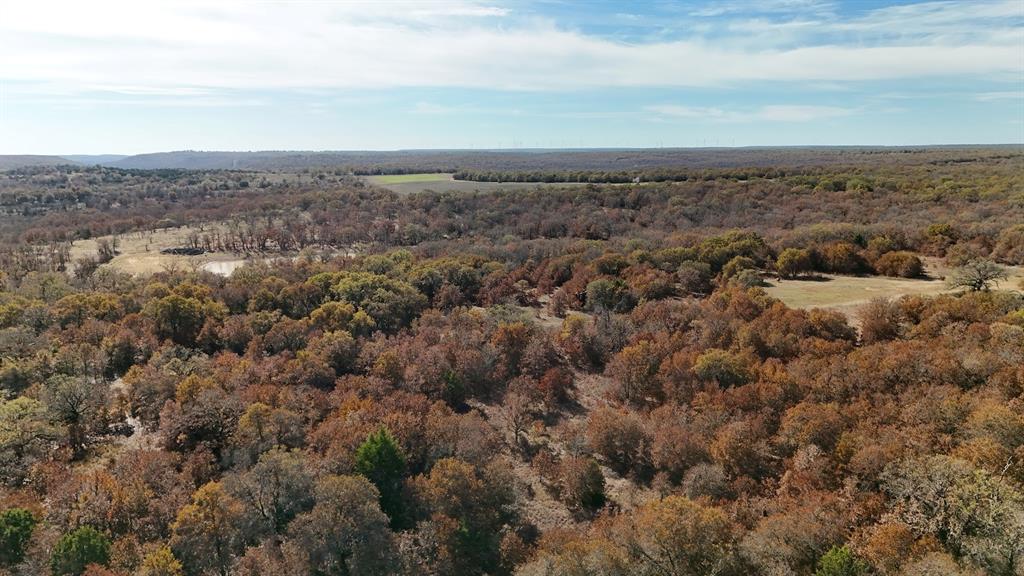0 Marley Road Jacksboro, TX 76458 - Photo 24 of 32 Drone / aerial view of a heavily wooded area