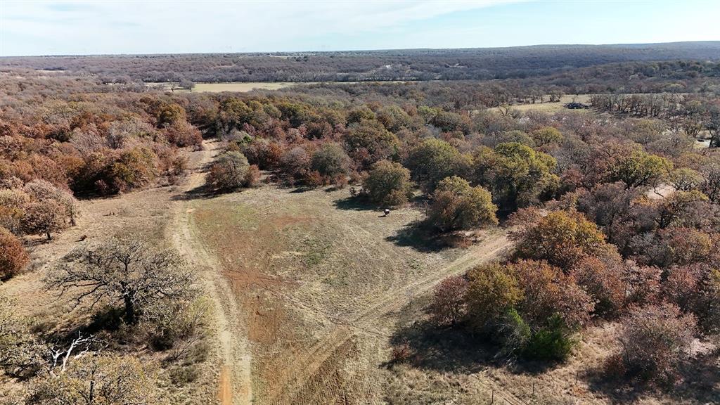 0 Marley Road Jacksboro, TX 76458 - Photo 30 of 32 Open area.