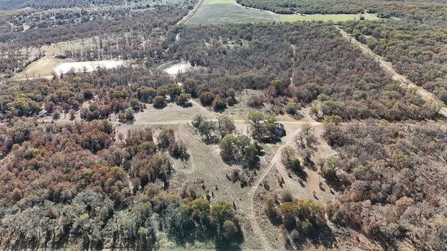 a view of a dry yard with green space