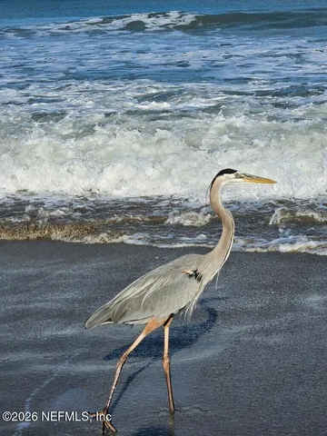 $620,000 | 340 Crescent Key Drive, St. Augustine, FL 32086