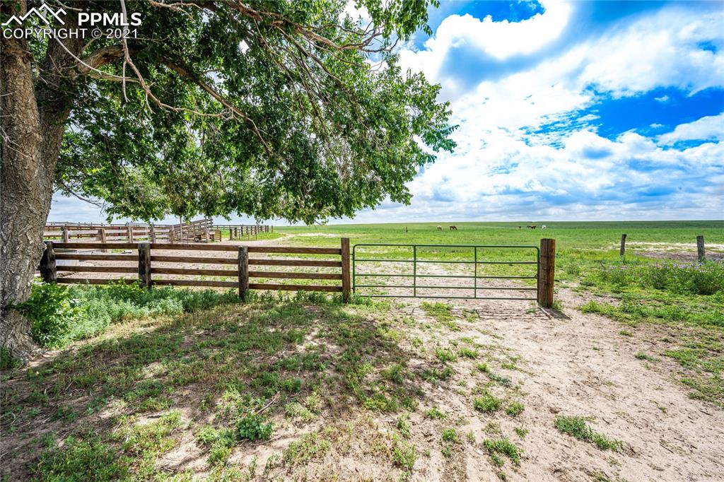 38810 Fossinger Road Rush, CO 80833 - Photo 29 of 35 a view of a yard with wooden fence
