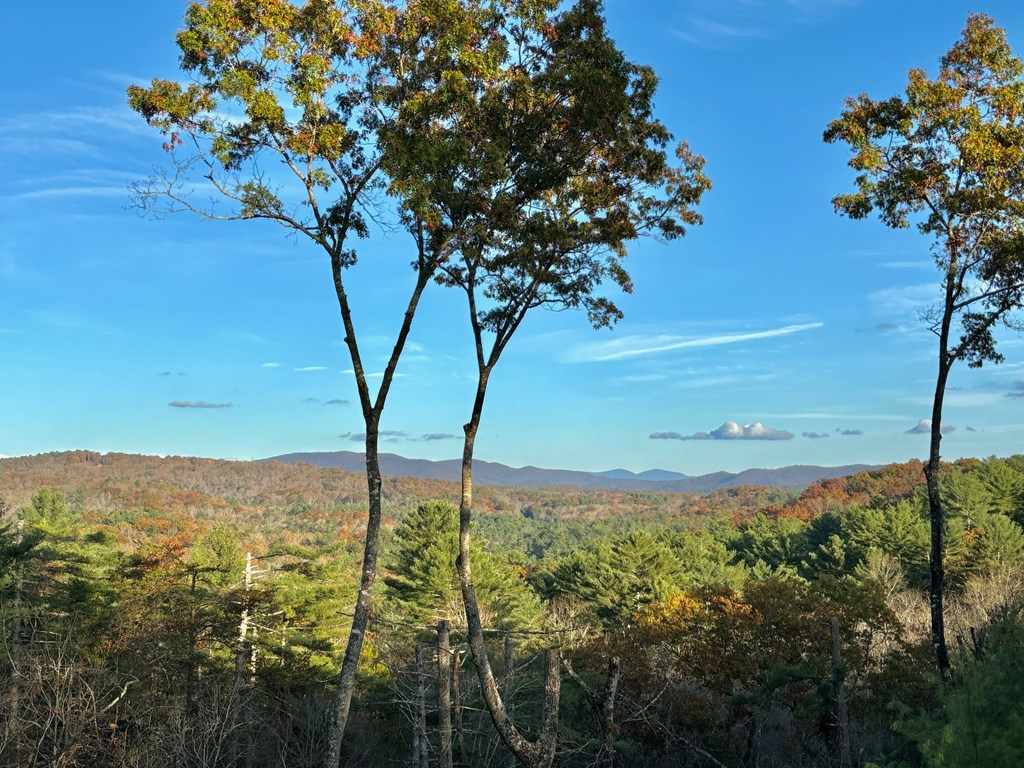30 Bill Claypool Drive Blue Ridge, GA 30513 - Photo 3 of 31 Gallery Image 3
