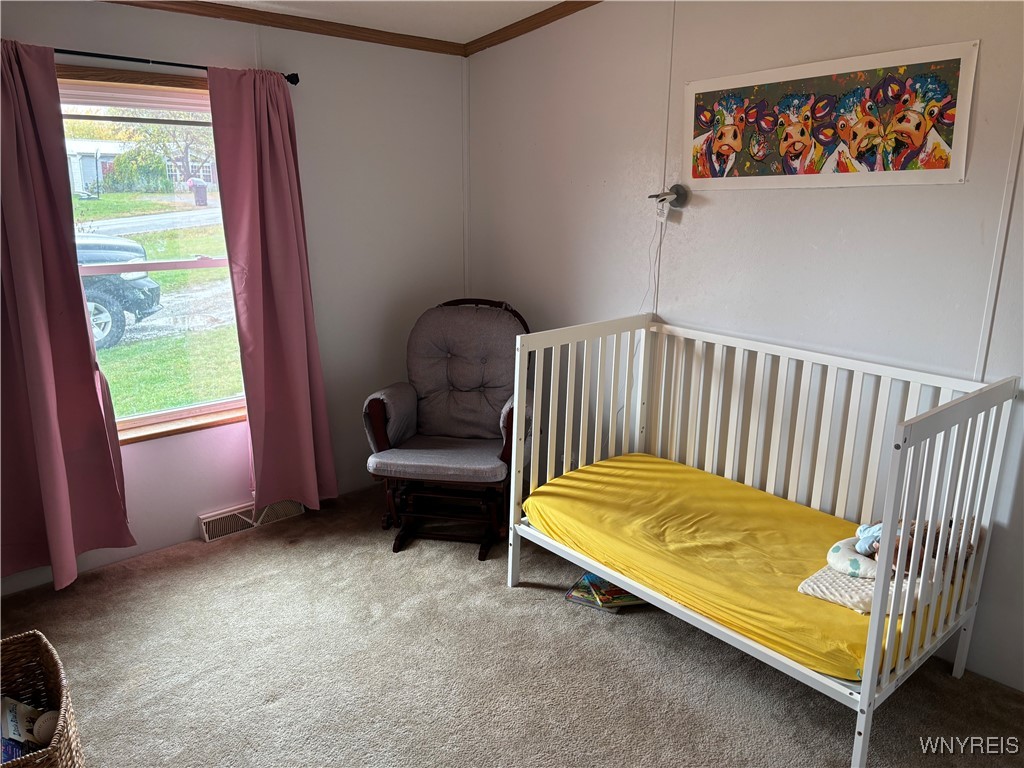 4560 Scrabble Hill Road Collins, NY 14034 - Photo 10 of 11