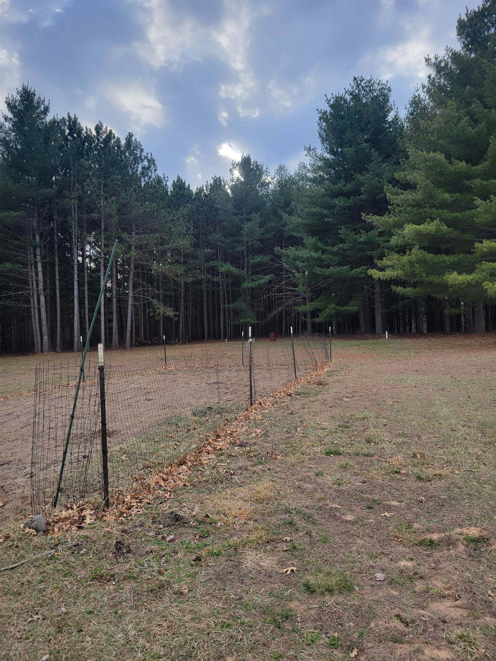 12549 County Highway North Tomah, WI 54660 - Photo 32 of 41