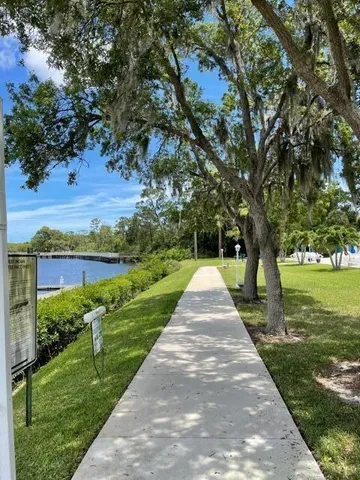 a view of park with large trees