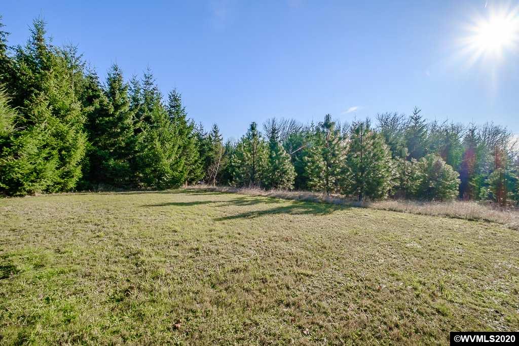 Cordon (parcel 3) Road Salem, OR 97317 - Photo 12 of 18
