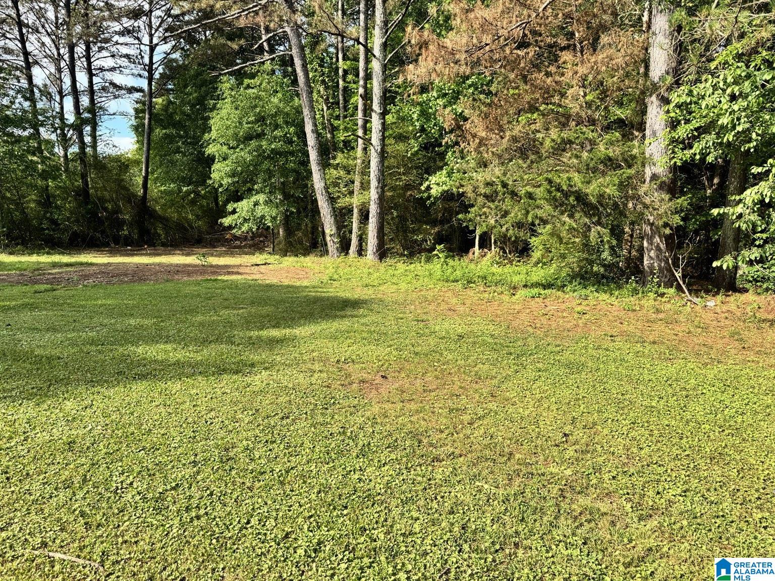 2987 Dogtown Road Carbon Hill, AL 35549 - Photo 30 of 32