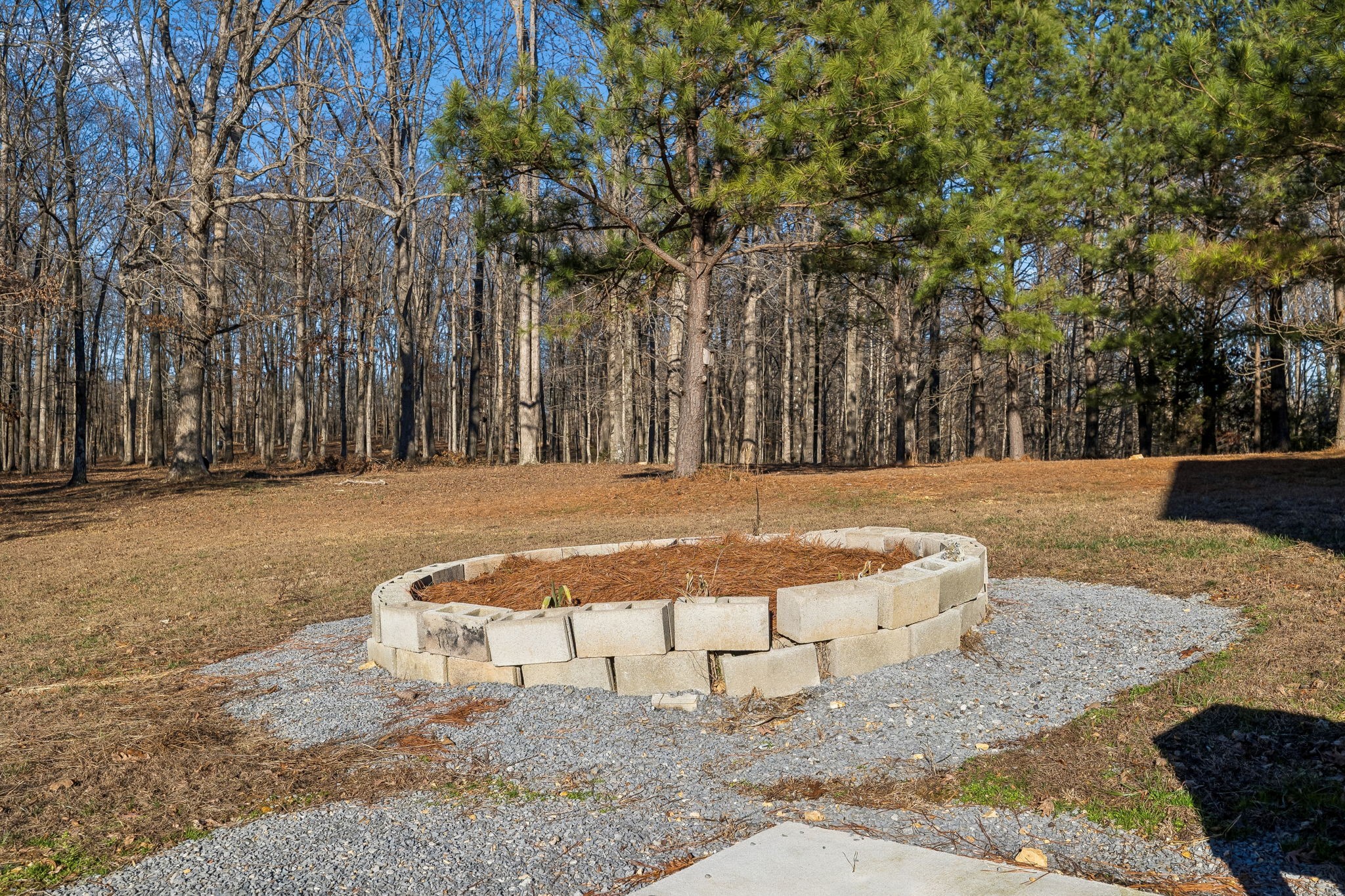 9681 Bud Qurriel Road Bon Aqua, TN 37025 - Photo 45 of 63 a view of backyard with large trees
