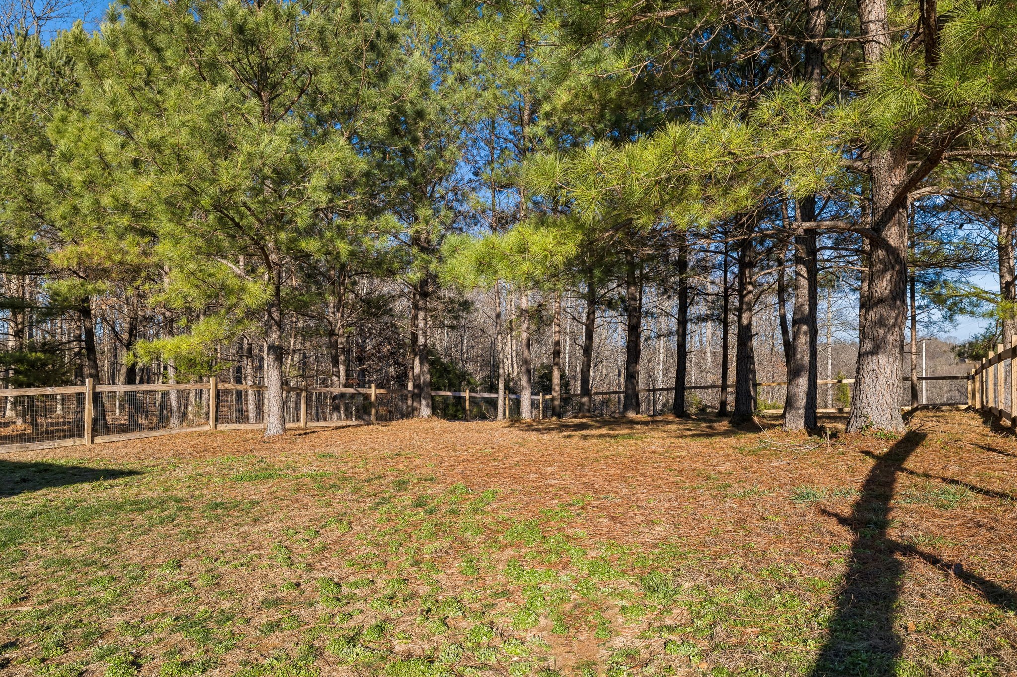 9681 Bud Qurriel Road Bon Aqua, TN 37025 - Photo 51 of 63