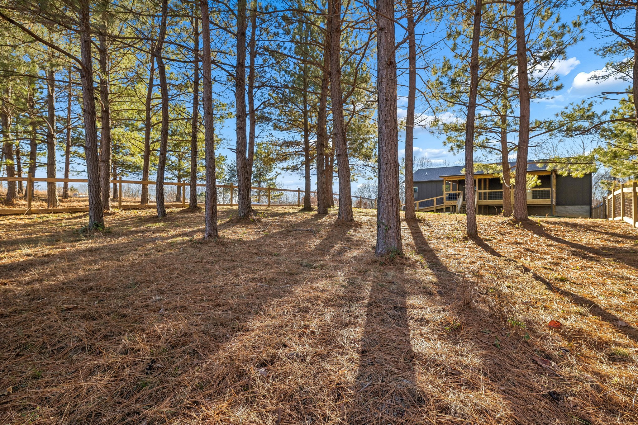 9681 Bud Qurriel Road Bon Aqua, TN 37025 - Photo 53 of 63 a view of a yard with a tree