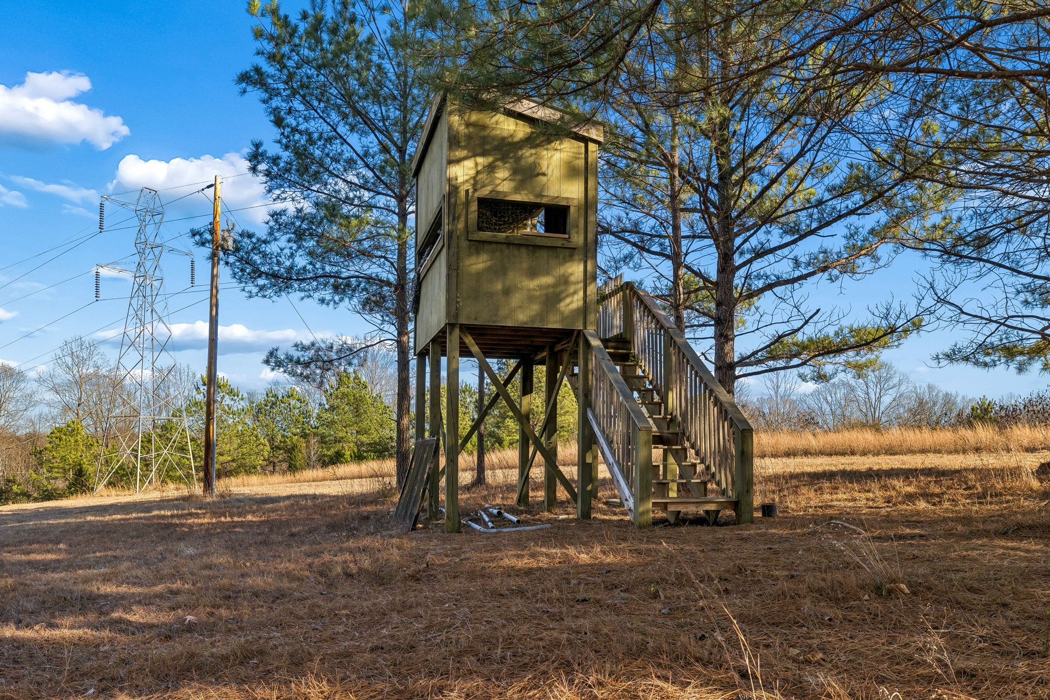 9681 Bud Qurriel Road Bon Aqua, TN 37025 - Photo 55 of 63 a view of a large tree next to a yard