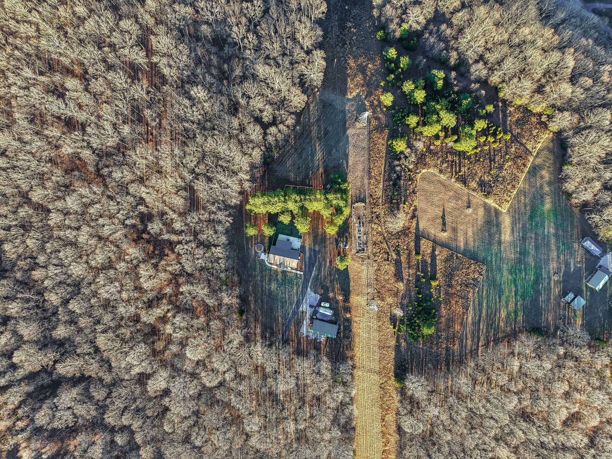 9681 Bud Qurriel Road Bon Aqua, TN 37025 - Photo 62 of 63