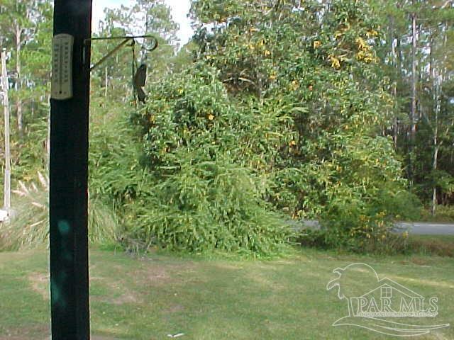 4727 Radio Road Milton, FL 32583 - Photo 50 of 72