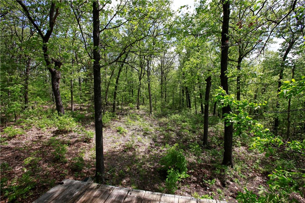 Tbd Southeast 1121st Road Deepwater, MO 64740 - Photo 8 of 26