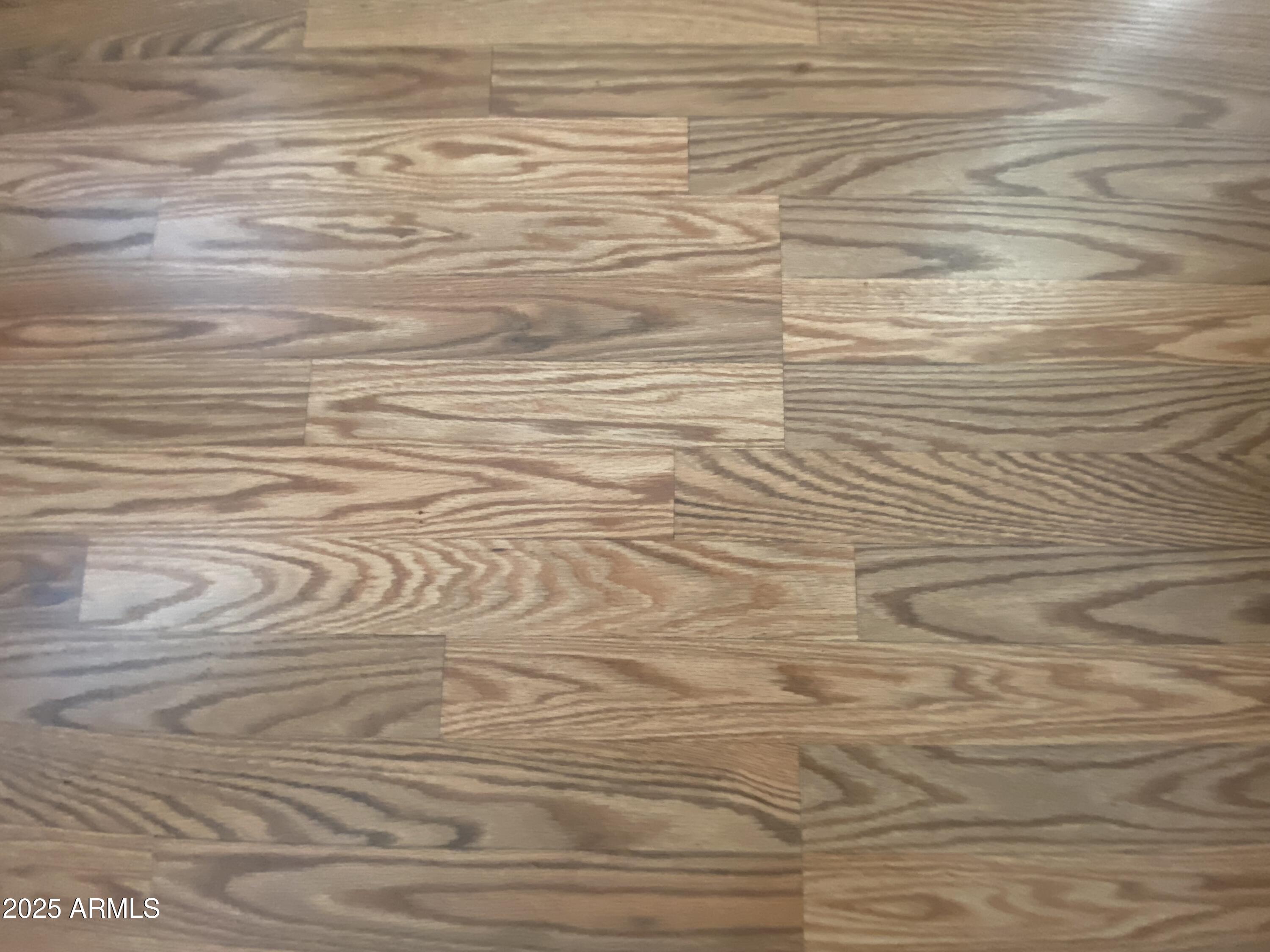 2072 West Klamath Avenue Apache Junction, AZ 85119 - Photo 5 of 25 a bathroom with a bathtub