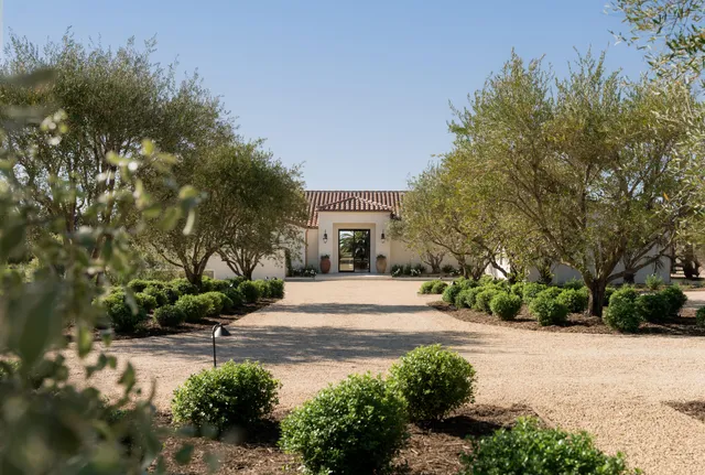 a front view of a house with a yard and trees