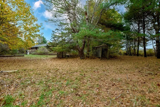 a view of a house with a large tree and a yard