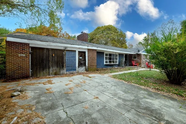 a view of a yard with plants and a large tree