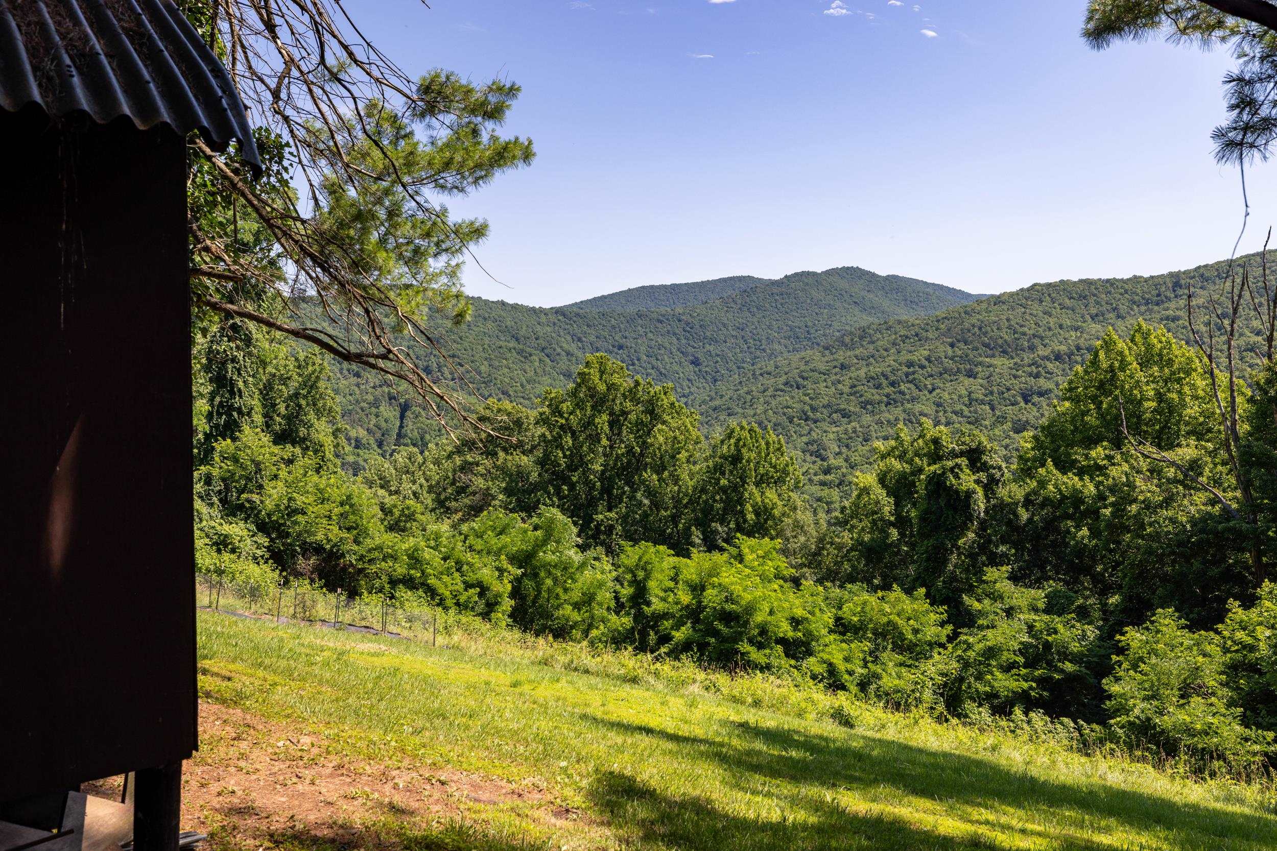 1093 Overlook Mountain Road Elkton, VA 22827 - Photo 38 of 63