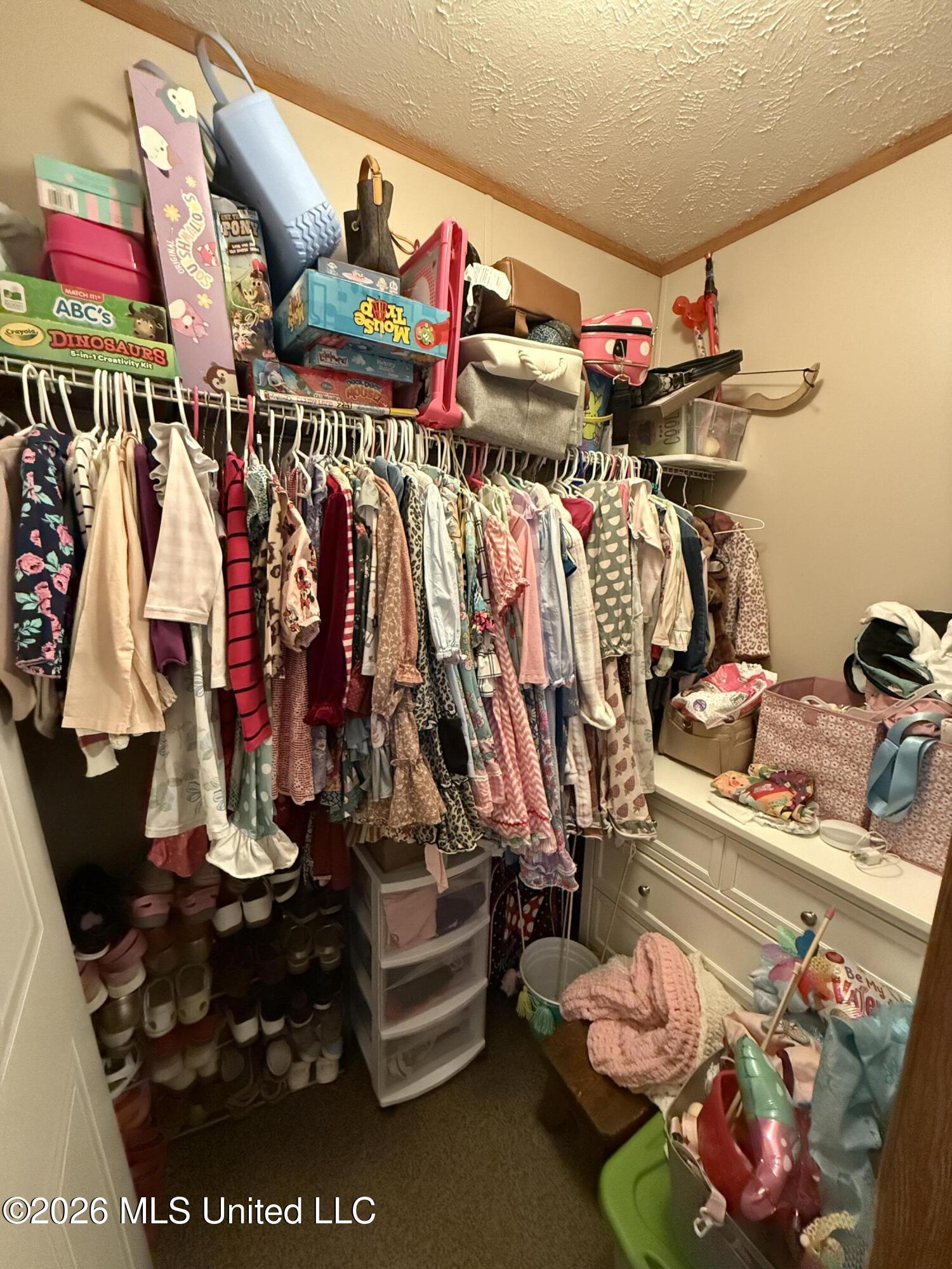 808 West McHenry Road McHenry, MS 39561 - Photo 21 of 32 Bedroom Closet