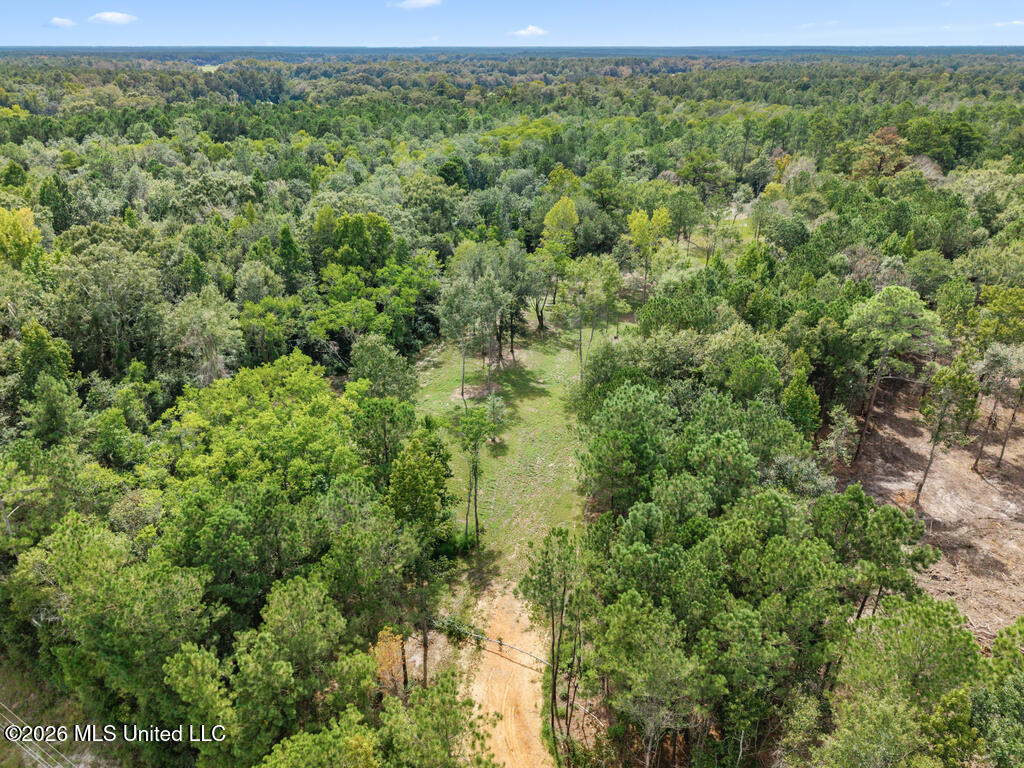 Salem Road Picayune, MS 39466 - Photo 7 of 16 sr11