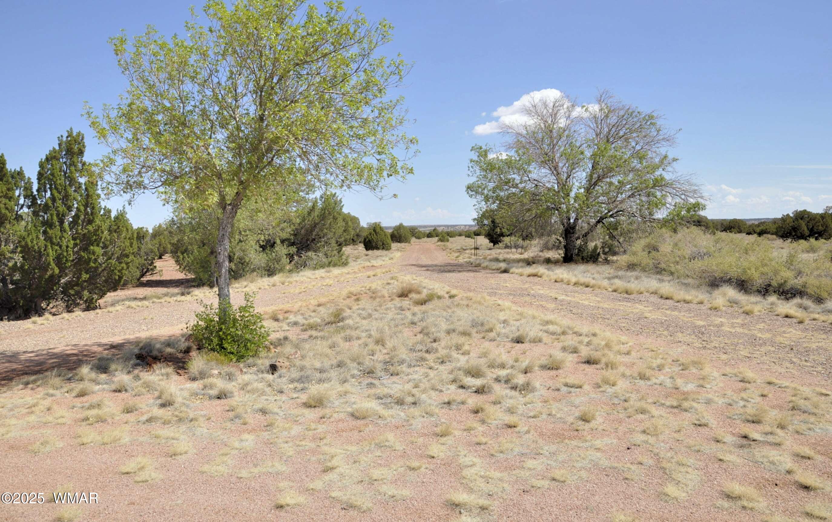 138 Jeff Lake Road Concho, AZ 85924 - Photo 23 of 52 19
