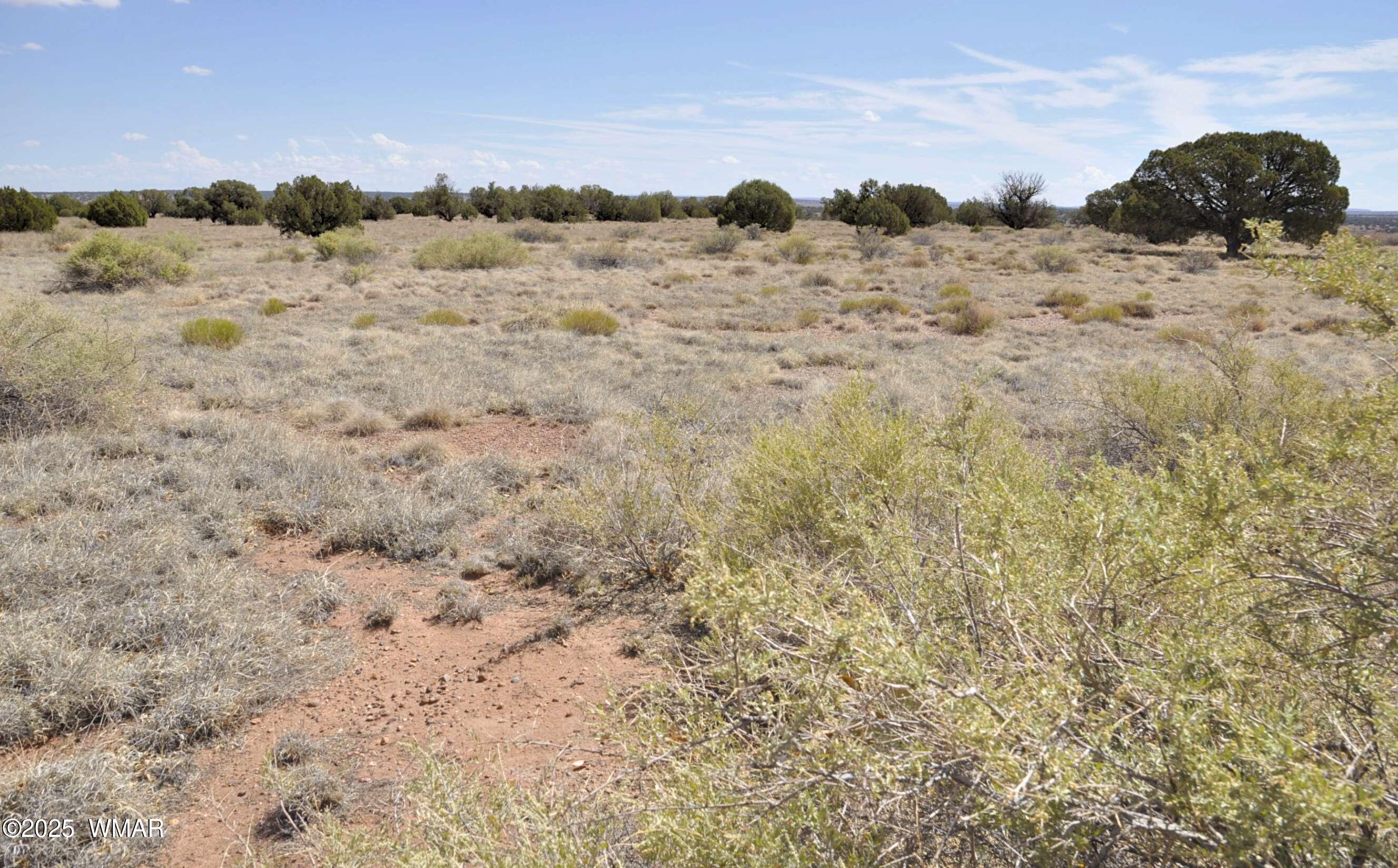 138 Jeff Lake Road Concho, AZ 85924 - Photo 25 of 52 22