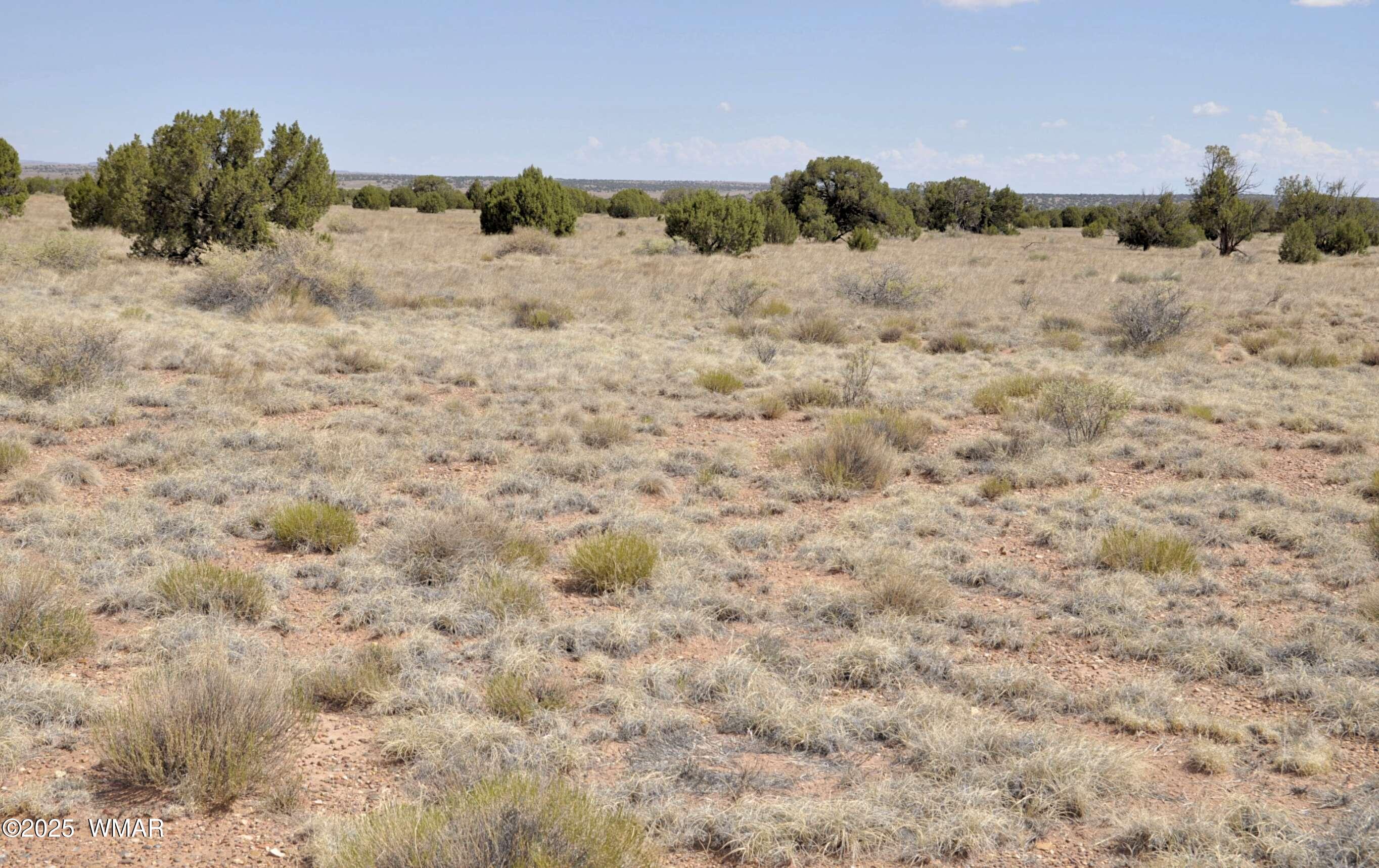 138 Jeff Lake Road Concho, AZ 85924 - Photo 26 of 52 23