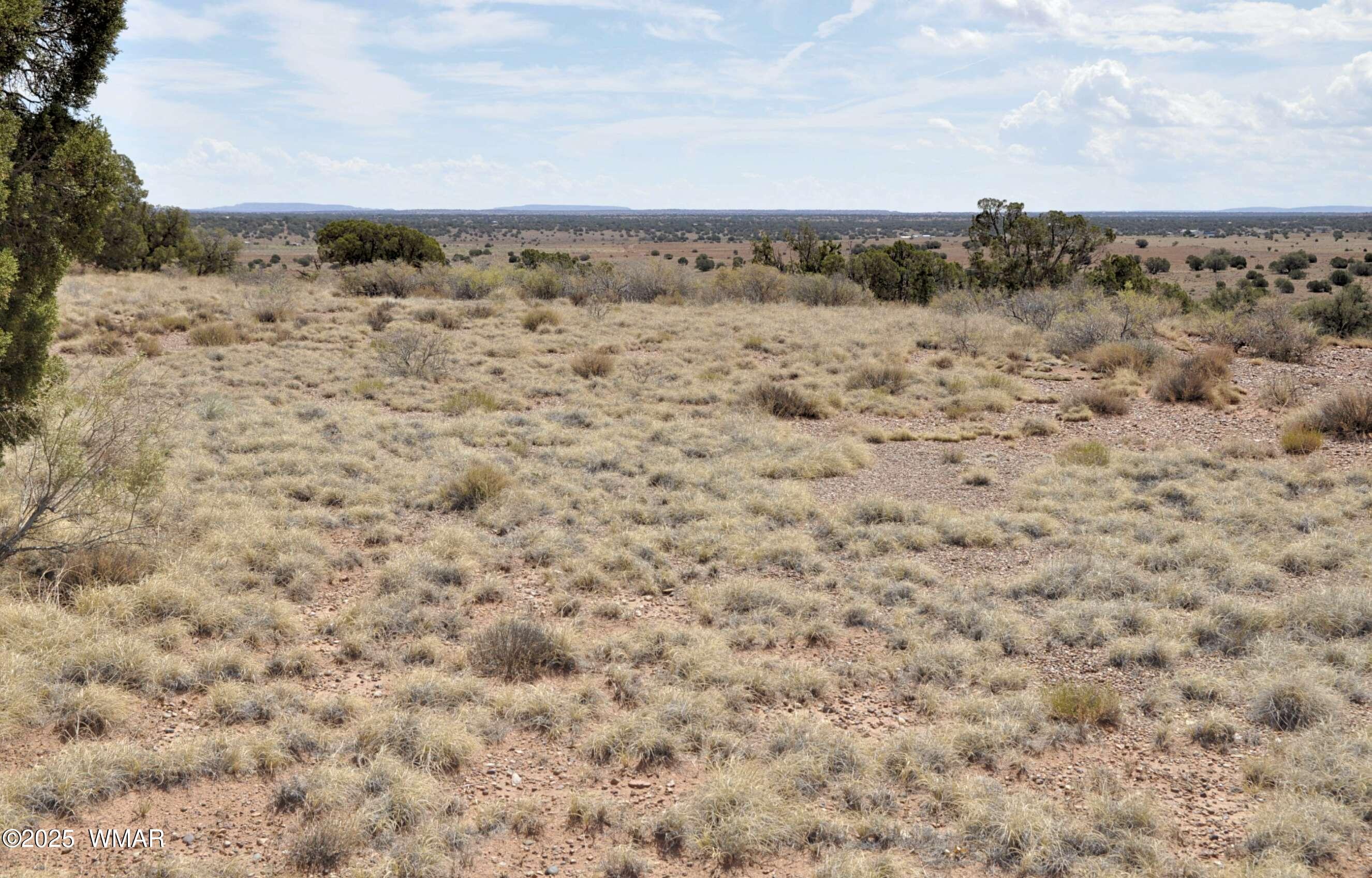 138 Jeff Lake Road Concho, AZ 85924 - Photo 27 of 52 24