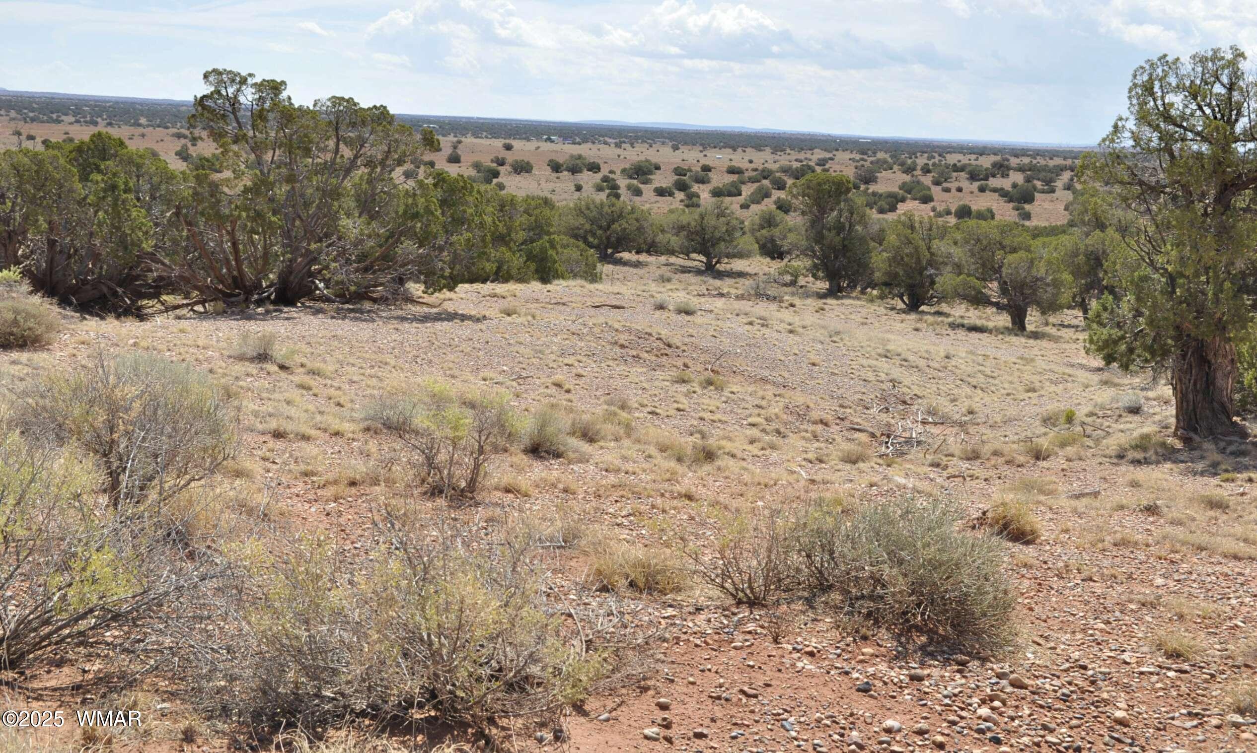 138 Jeff Lake Road Concho, AZ 85924 - Photo 29 of 52 26