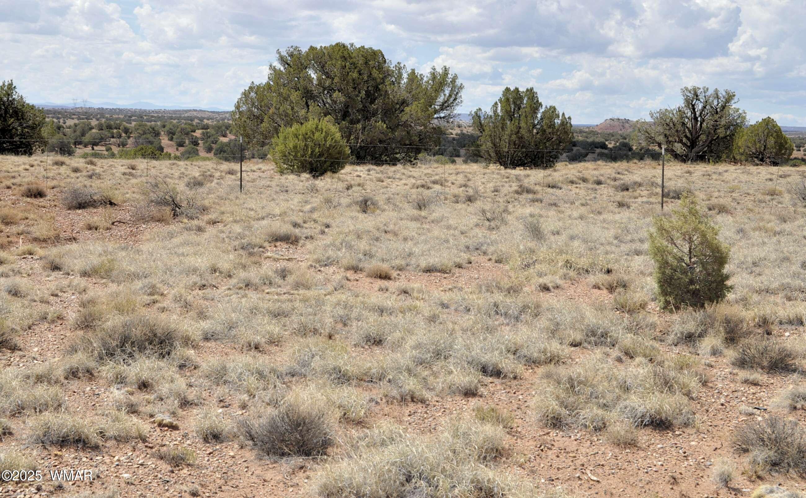 138 Jeff Lake Road Concho, AZ 85924 - Photo 45 of 52 34