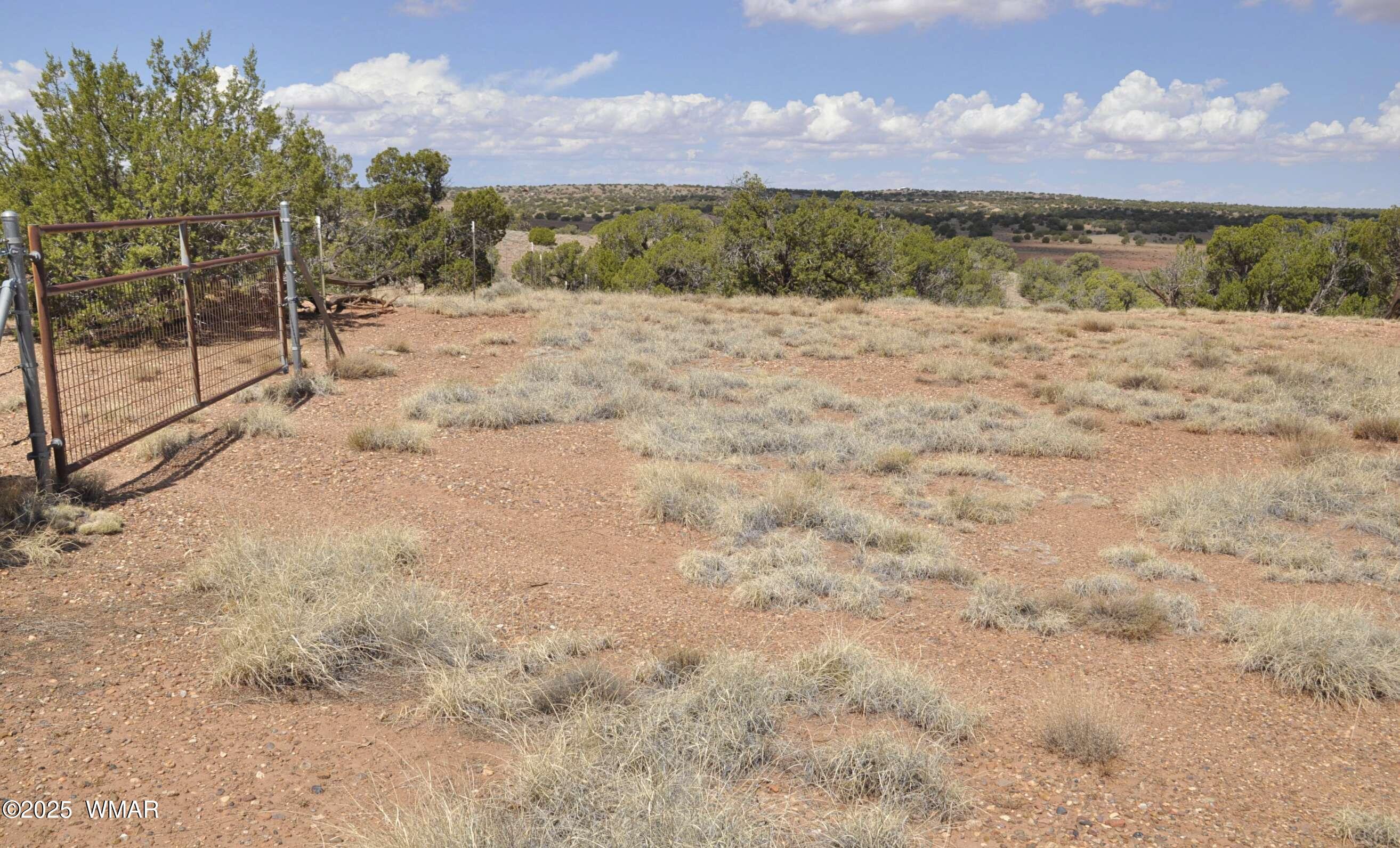 138 Jeff Lake Road Concho, AZ 85924 - Photo 46 of 52 35
