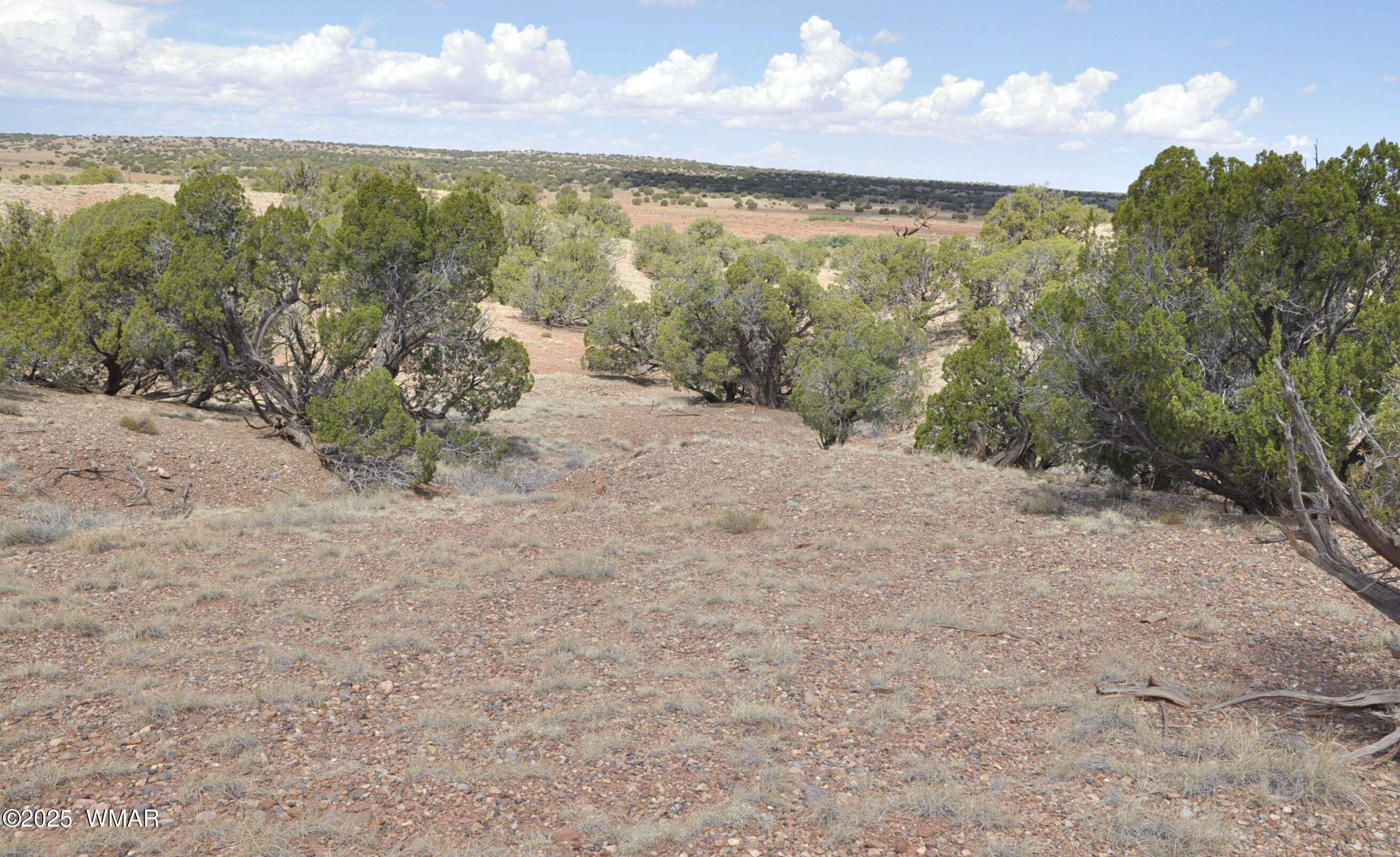 138 Jeff Lake Road Concho, AZ 85924 - Photo 47 of 52 36