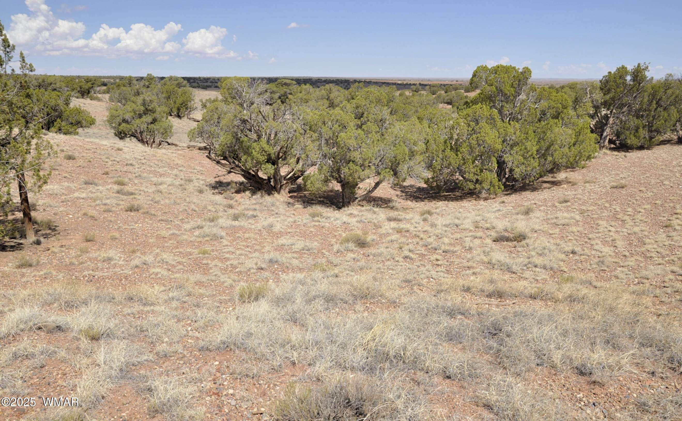 138 Jeff Lake Road Concho, AZ 85924 - Photo 48 of 52 37