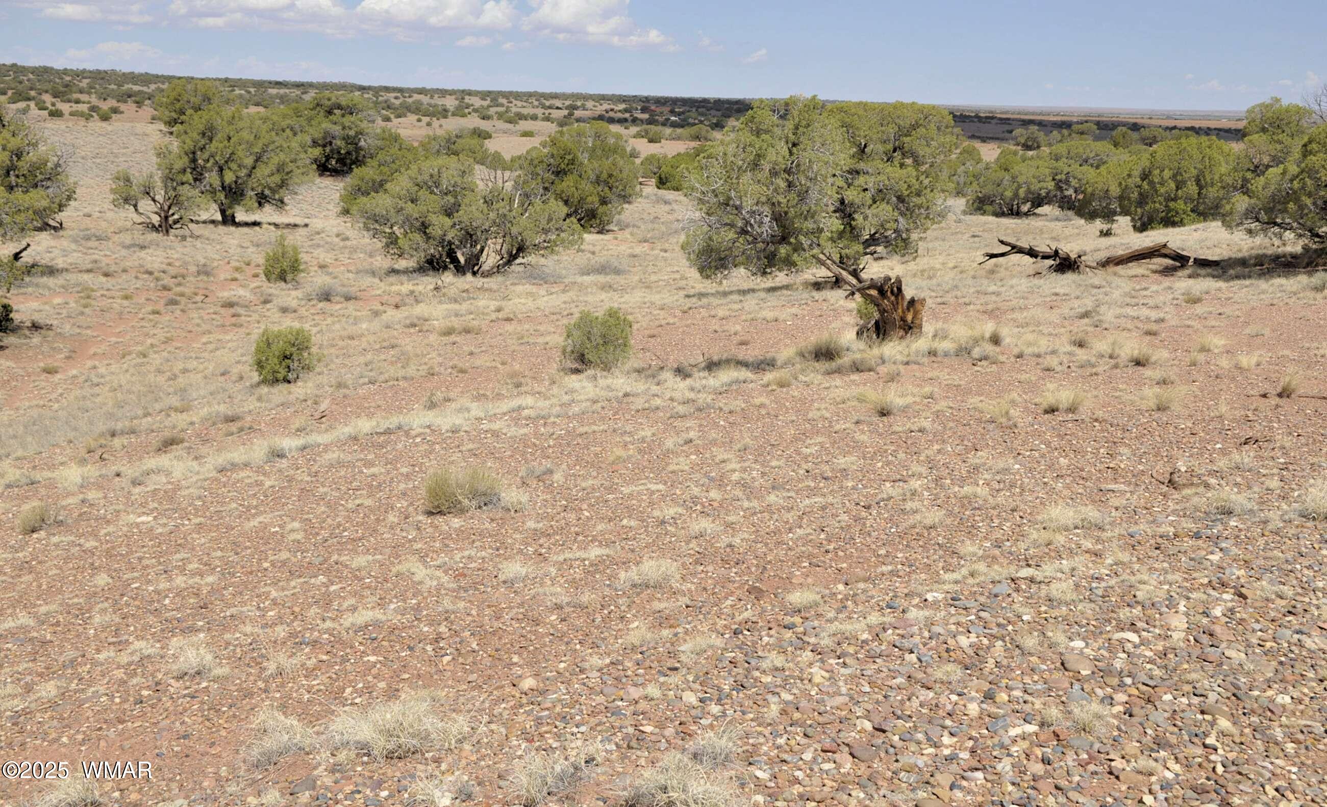 138 Jeff Lake Road Concho, AZ 85924 - Photo 49 of 52 38