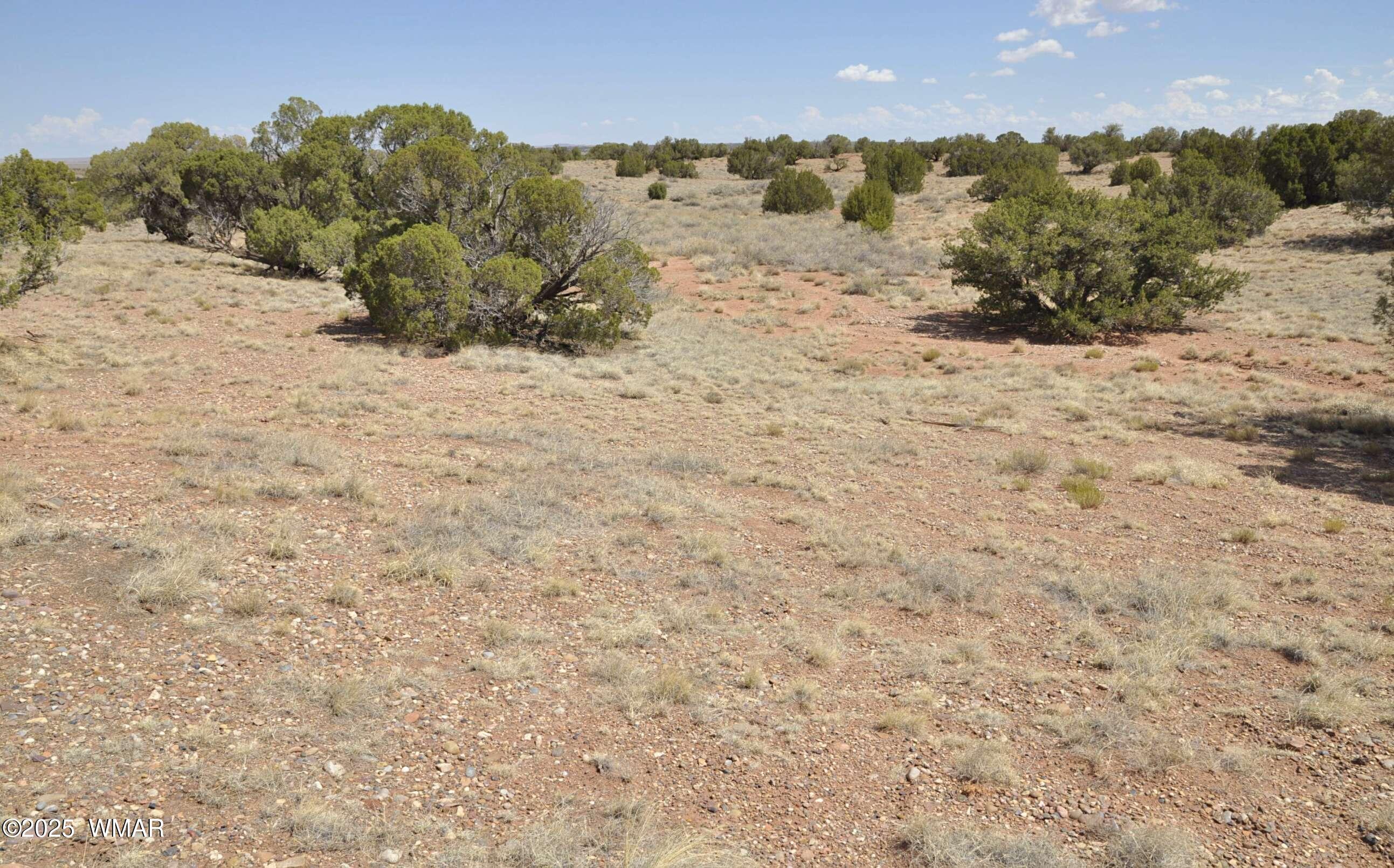 138 Jeff Lake Road Concho, AZ 85924 - Photo 50 of 52 39
