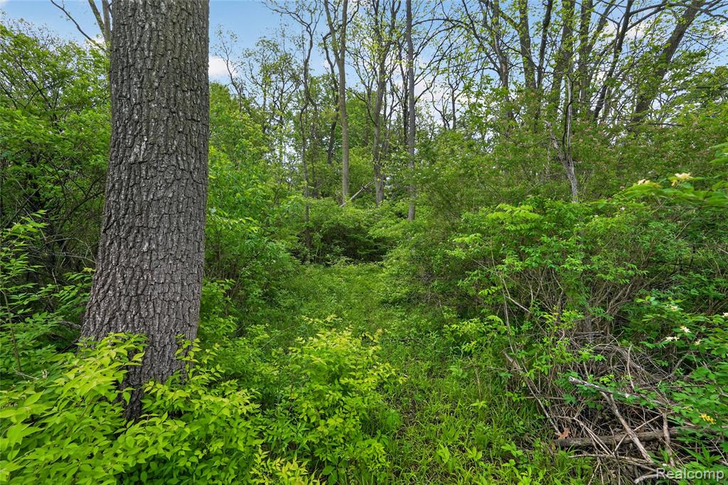 6235 Flushing Road Flushing, MI 48433 - Photo 48 of 58