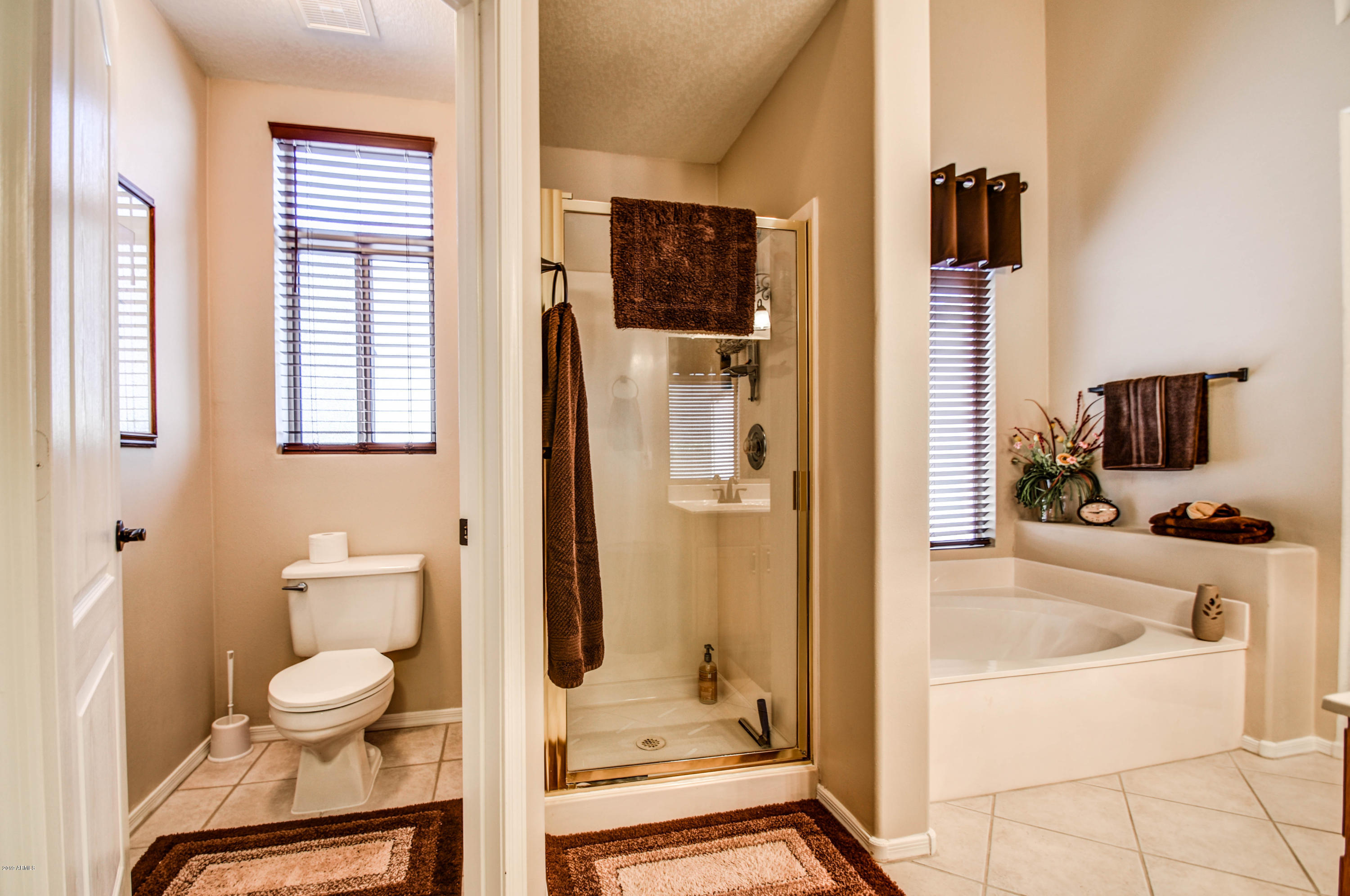 4867 South Rimrock Loop Gold Canyon, AZ 85118 - Photo 20 of 64 Master Bath 4