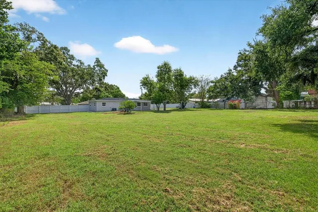 a view of a park with large trees