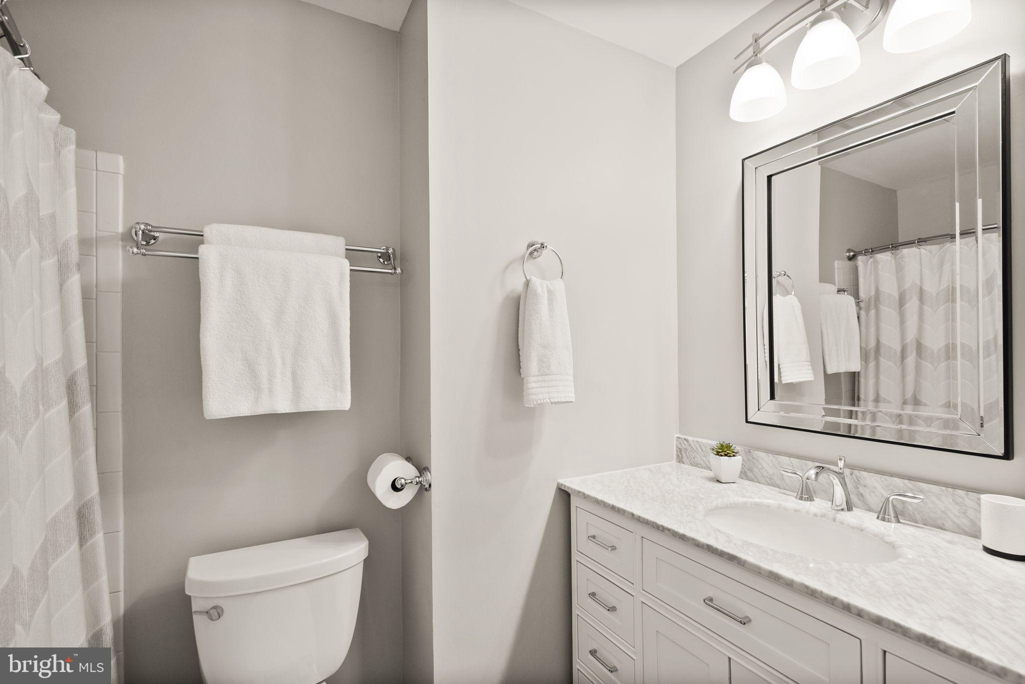6369 English Ivy Way Springfield, VA 22152 - Photo 47 of 62 a bathroom with a toilet sink and mirror