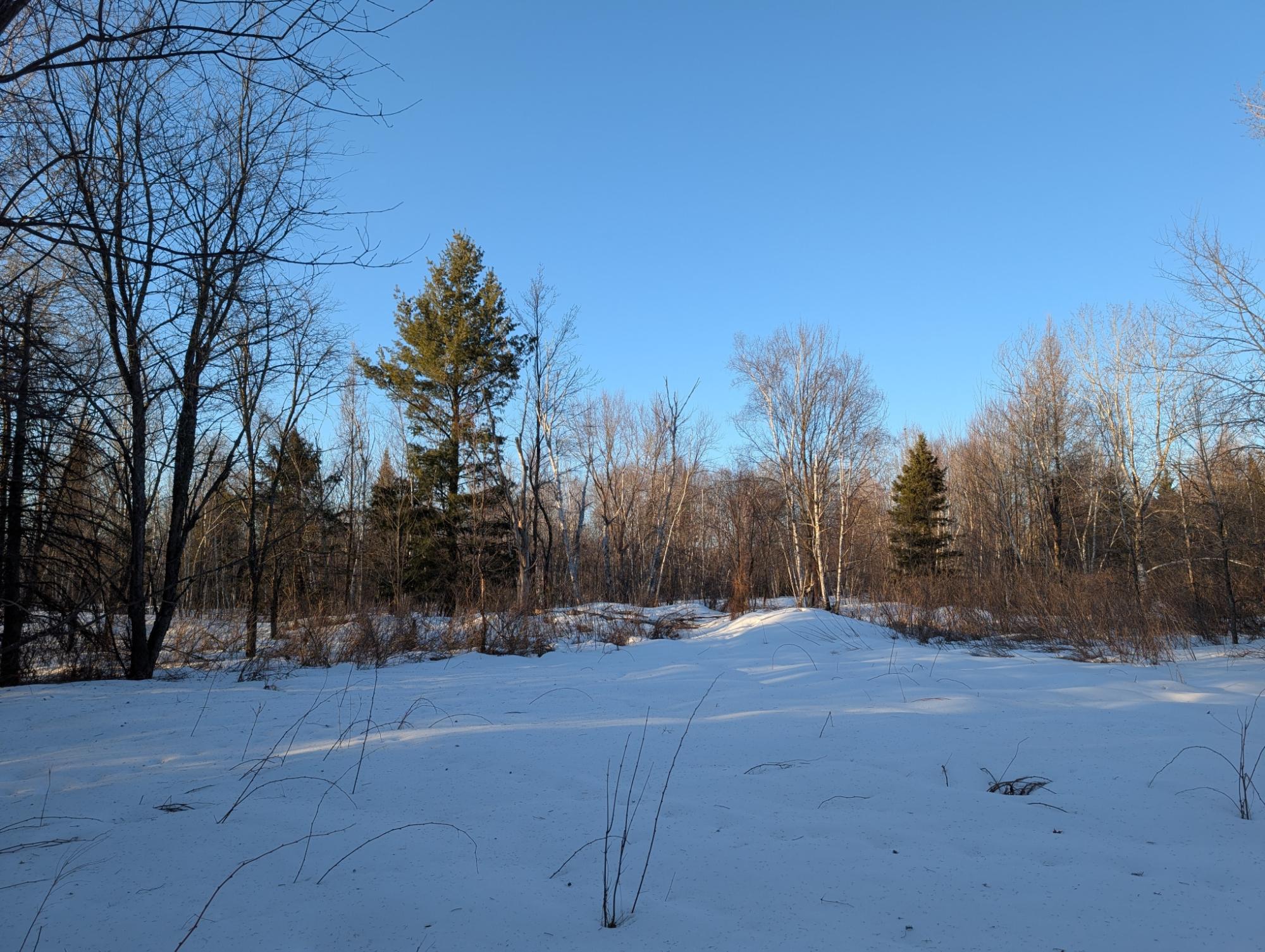 W6914 Sunset Lane Phillips, WI 54555 - Photo 36 of 50 Gallery Image 36
