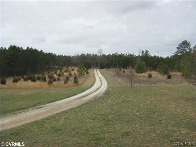 1398 Fletcher Chapel Road Kenbridge, VA 23944 - Photo 16 of 20 Land - driveway
