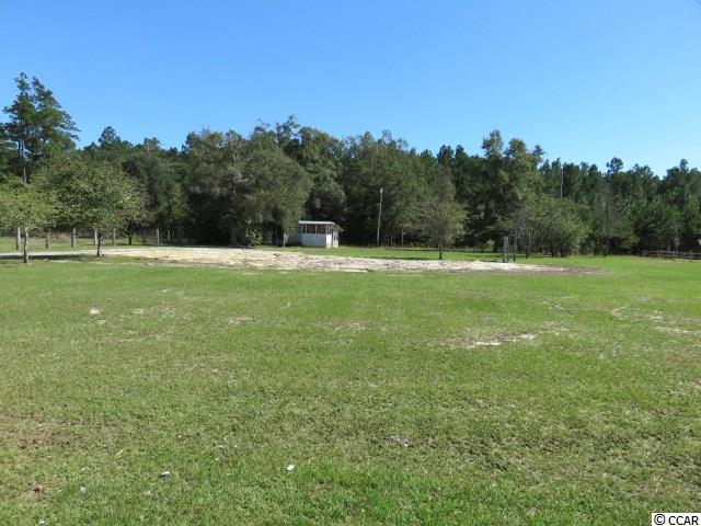 17780 Pee Dee Road North Galivants Ferry, SC 29544 - Photo 1 of 14 Gallery Image 1