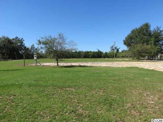 17780 Pee Dee Road North Galivants Ferry, SC 29544 - Photo 12 of 14 Gallery Image 12